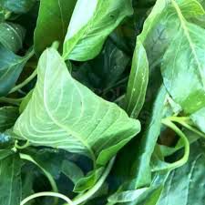 Kulitis - plant_690d57f51df011.70039757