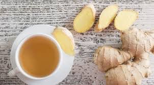 Luya - plant_690d5cb53ba535.48572729