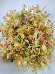 Sampalok - plant_690dbc830509d4.71160449