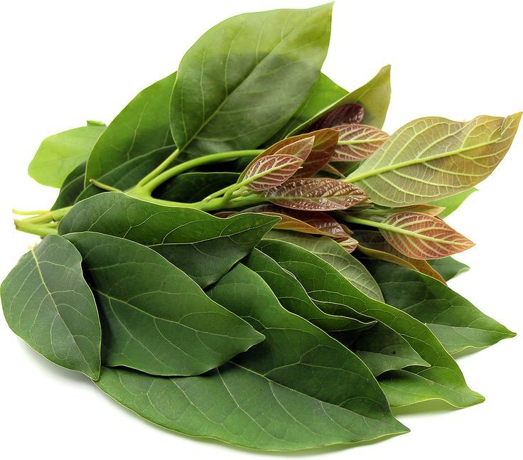 Abukado - plant_691b19a2b37b82.76394924